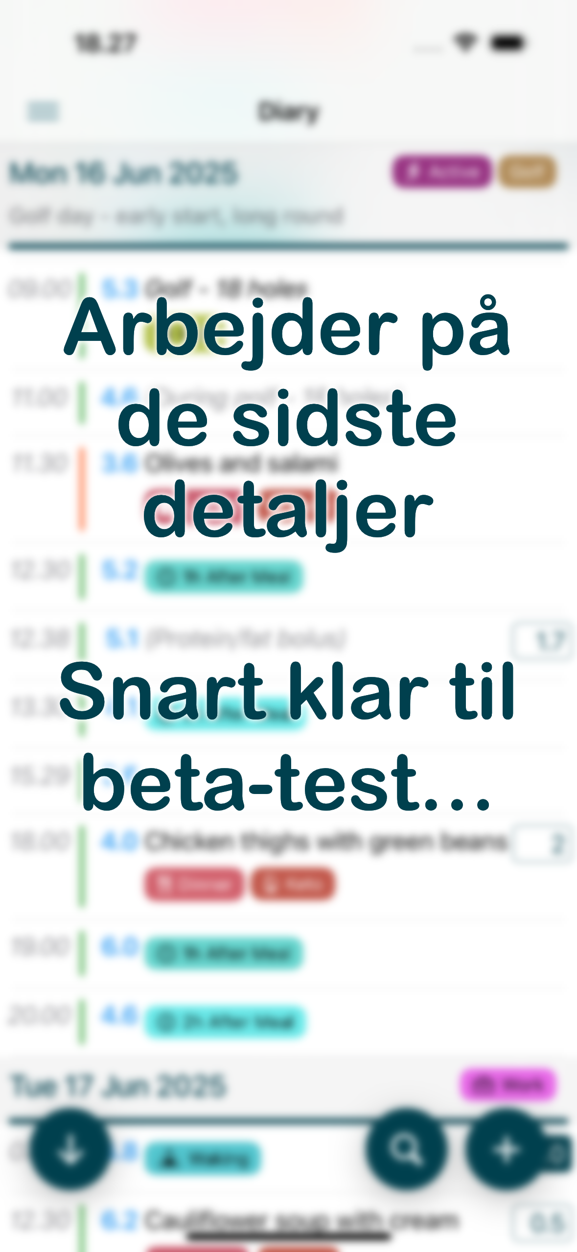 Glysimi-app viser diabetes noter med blodsukker aflæsninger, mad noter og insulin doser