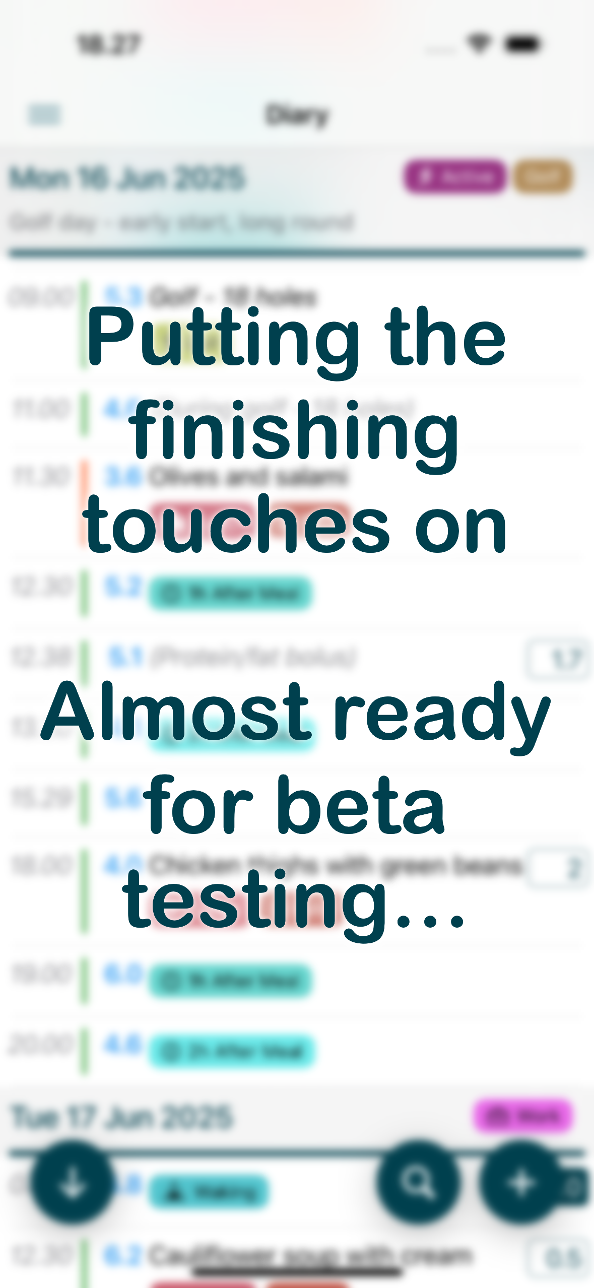 Glysimi app showing diabetes diary entries with blood glucose readings, food logs, and insulin doses